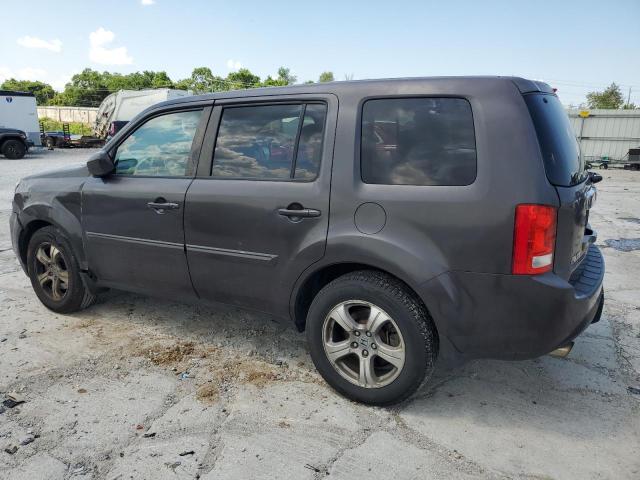 5FNYF4H54DB028786 - 2013 HONDA PILOT EXL ყავისფერი ფოტო 2