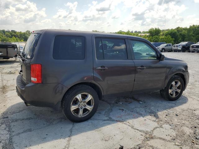 5FNYF4H54DB028786 - 2013 HONDA PILOT EXL ყავისფერი ფოტო 3