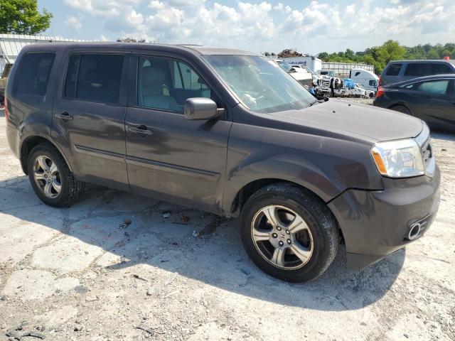 5FNYF4H54DB028786 - 2013 HONDA PILOT EXL ყავისფერი ფოტო 4