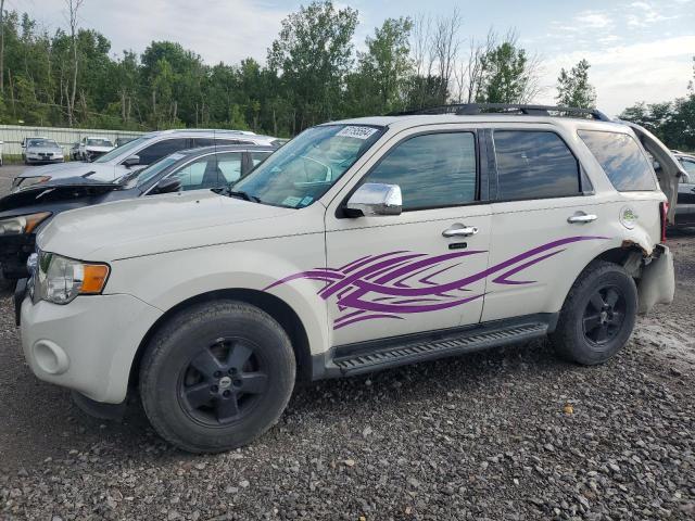 2012 FORD ESCAPE XLT, 