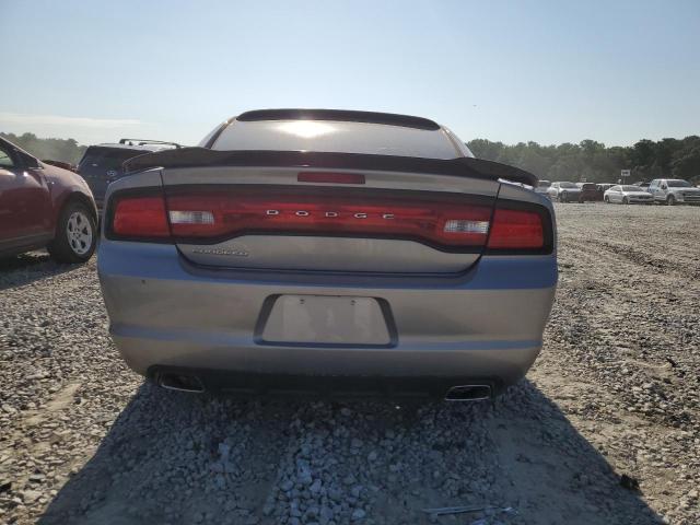 2C3CDXBG6EH308172 - 2014 DODGE CHARGER SE SILVER photo 6