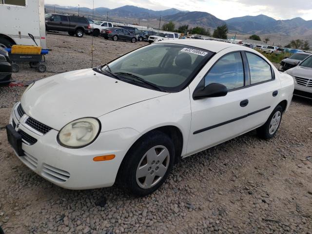 1B3ES26C54D506503 - 2004 DODGE NEON BASE WHITE photo 1