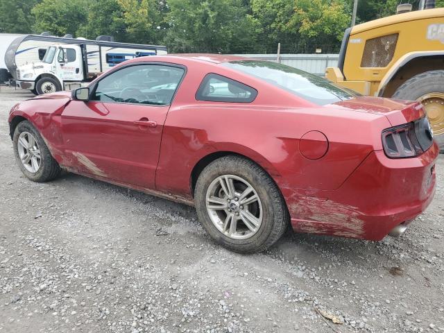 1ZVBP8AM5D5225847 - 2013 FORD MUSTANG RED photo 2