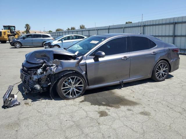 2024 TOYOTA CAMRY XLE, null