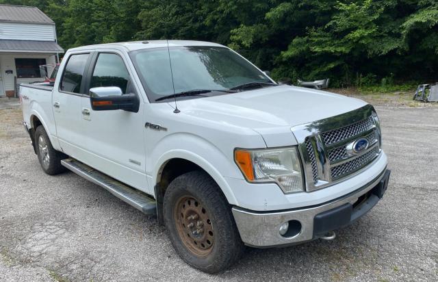 2011 FORD F150 SUPERCREW, null