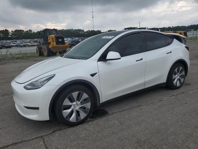 2021 TESLA MODEL Y, null