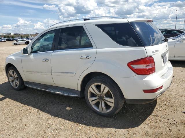 4JGBB8GB7AA580105 - 2010 MERCEDES-BENZ ML 350 4MATIC WHITE photo 2