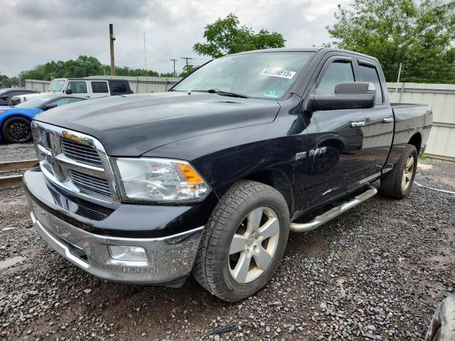 2010 DODGE RAM 1500, null