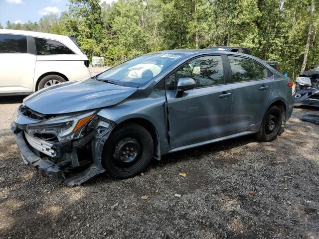 2024 TOYOTA COROLLA LE, 