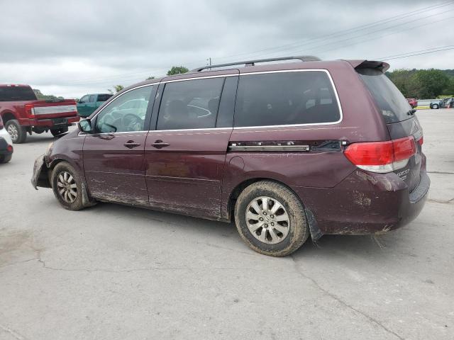 5FNRL3H68AB028091 - 2010 HONDA ODYSSEY EXL MAROON photo 2