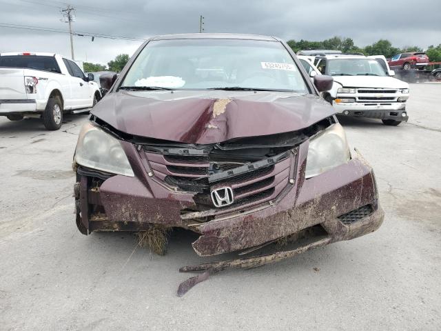 5FNRL3H68AB028091 - 2010 HONDA ODYSSEY EXL MAROON photo 5