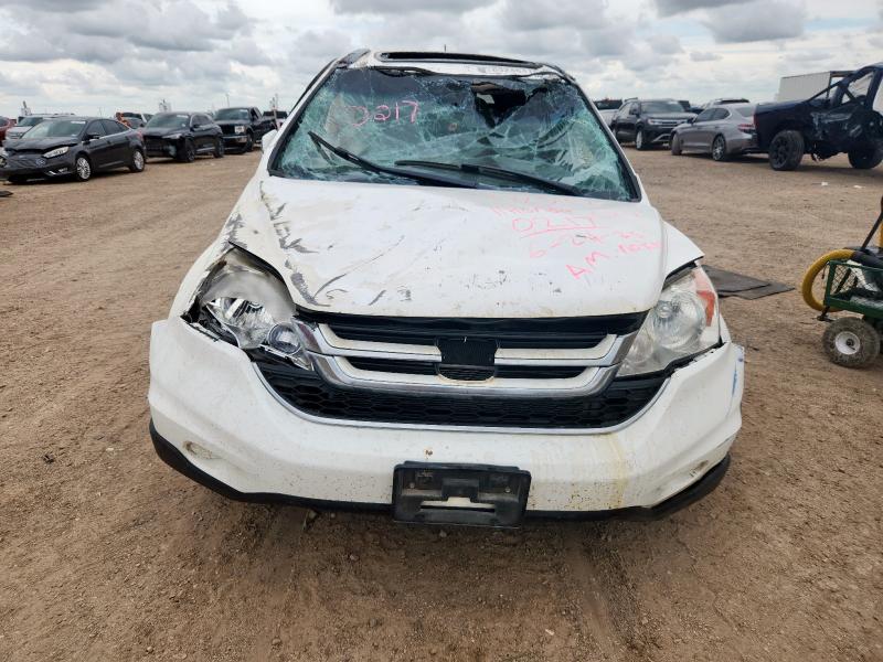 5J6RE4H71BL030217 - 2011 HONDA CR-V EXL 白色 照片 5