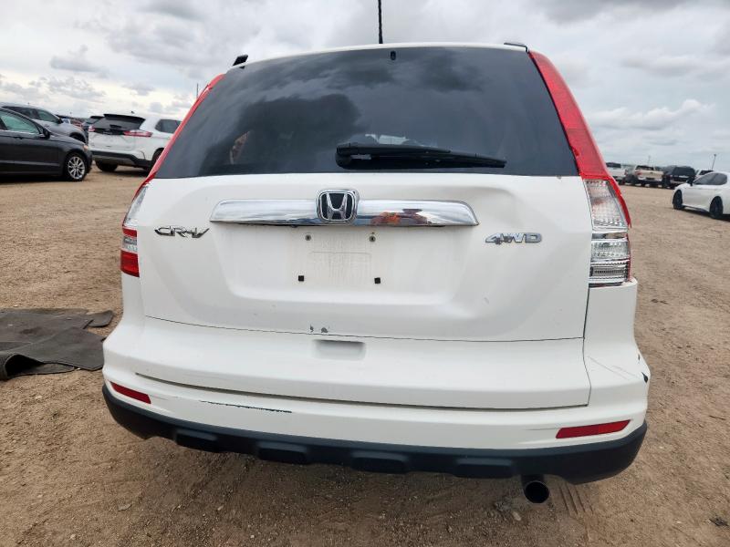 5J6RE4H71BL030217 - 2011 HONDA CR-V EXL 白色 照片 6