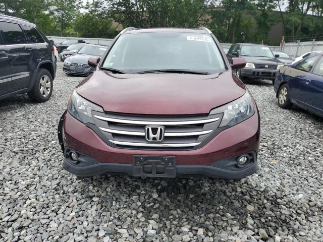 5J6RM4H72EL082477 - 2014 HONDA CR-V EXL RED photo 5