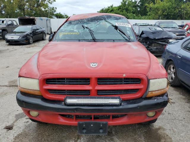 1B7GG22N8YS520218 - 2000 DODGE DAKOTA RED photo 5