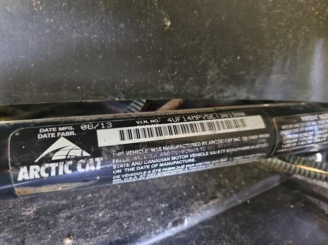 4UF14MPV5ET301900 - 2014 OTHER OTHER Grün Foto 10