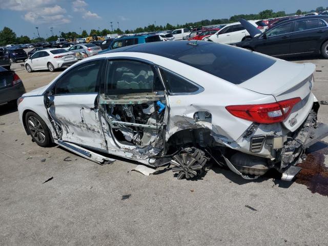 5NPE34AF4GH334102 - 2016 HYUNDAI SONATA SPORT 白色 照片 2