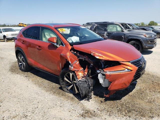 JTJGARBZ3M2199158 - 2021 LEXUS NX 300 BASE ნარინჯისფერი ფოტო 4