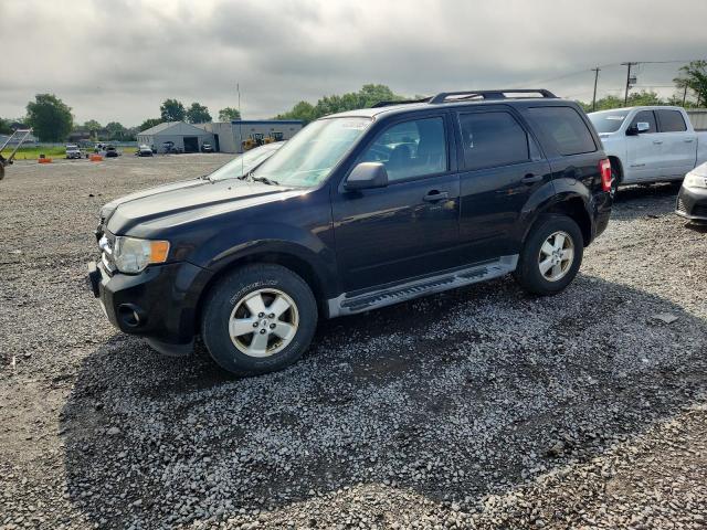 2012 FORD ESCAPE XLT, null