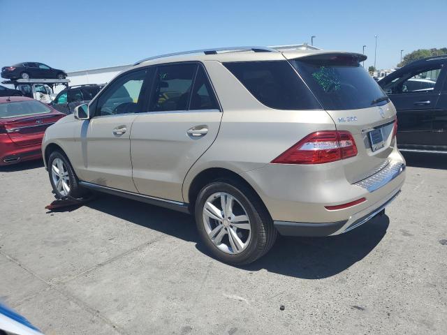 4JGDA5HB1DA123027 - 2013 MERCEDES-BENZ ML 350 4MATIC GOLD photo 2