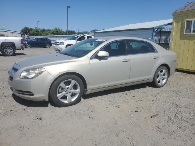 1G1ZC5EB0AF149974 - 2010 CHEVROLET MALIBU 1LT GOLD photo 1