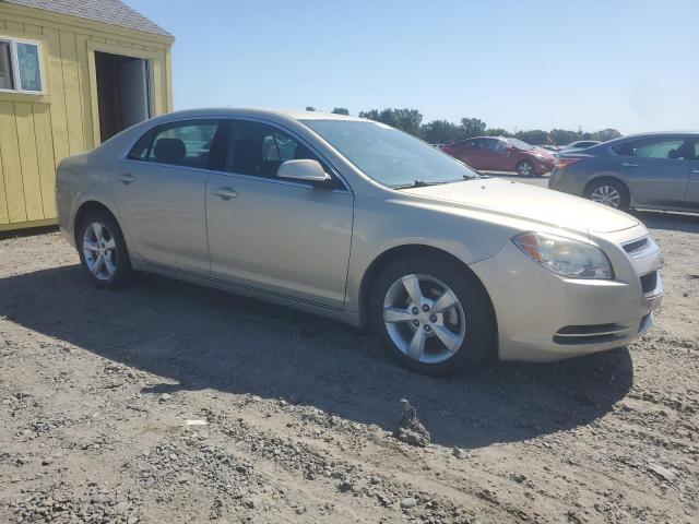 1G1ZC5EB0AF149974 - 2010 CHEVROLET MALIBU 1LT GOLD photo 4