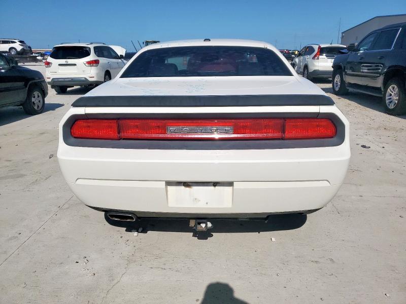 2B3LJ54TX9H606959 - 2009 DODGE CHALLENGER R/T 白色 照片 6