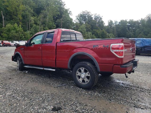 1FTFX1EVXAFC76801 - 2010 FORD F150 SUPER CAB RED photo 2