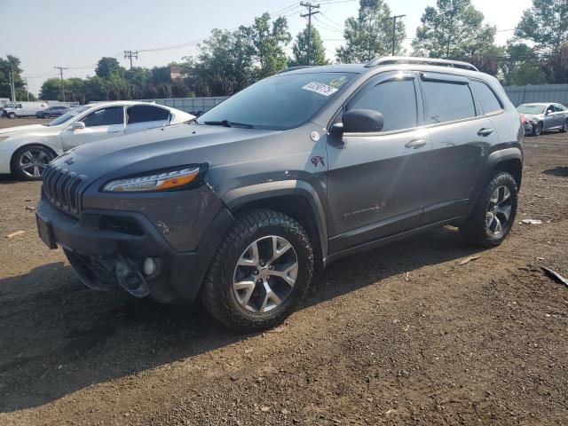 1C4PJMBS2GW252180 - 2016 JEEP CHEROKEE TRAILHAWK GRAY photo 1