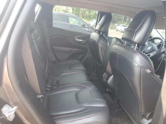 1C4PJMBS2GW252180 - 2016 JEEP CHEROKEE TRAILHAWK GRAY photo 10