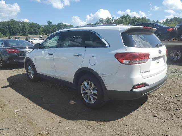 5XYPG4A35GG101839 - 2016 KIA SORENTO LX WHITE photo 2