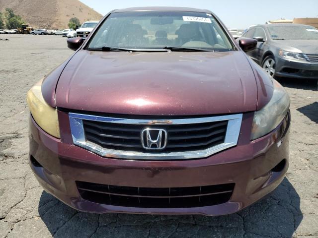 JHMCP26858C047745 - 2008 HONDA ACCORD EXL BURGUNDY photo 5