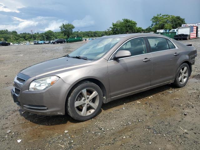 2011 CHEVROLET MALIBU 1LT, null