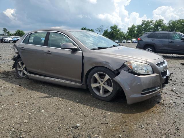 1G1ZC5E18BF341958 - 2011 CHEVROLET MALIBU 1LT BROWN photo 4