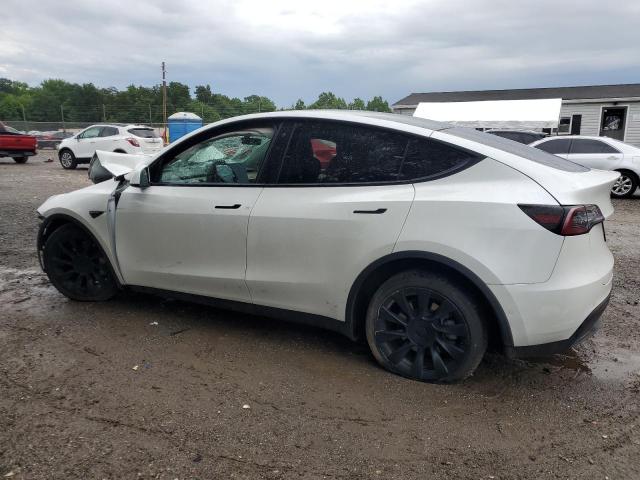 5YJYGDEF5LF000746 - 2020 TESLA MODEL Y WHITE photo 2