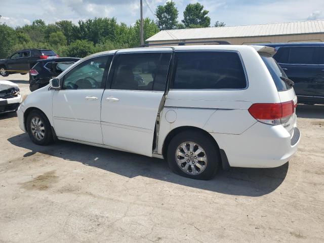 5FNRL38629B004218 - 2009 HONDA ODYSSEY EXL 白色 照片 2