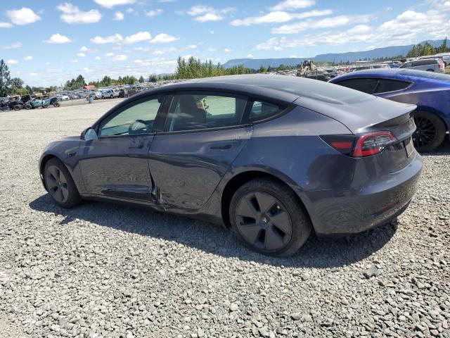 5YJ3E1EA7PF470625 - 2023 TESLA MODEL 3 GRAY photo 2