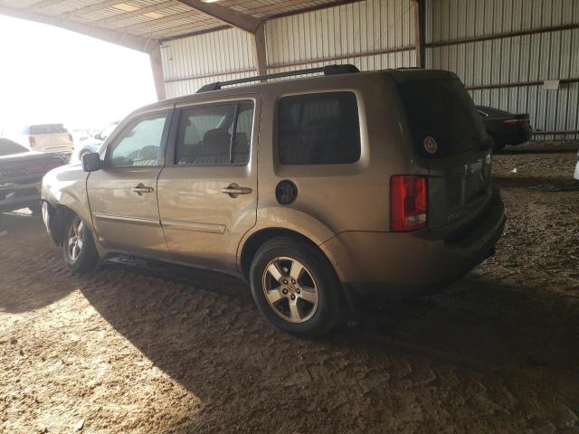 5FNYF38549B012489 - 2009 HONDA PILOT EXL BEIGE photo 2