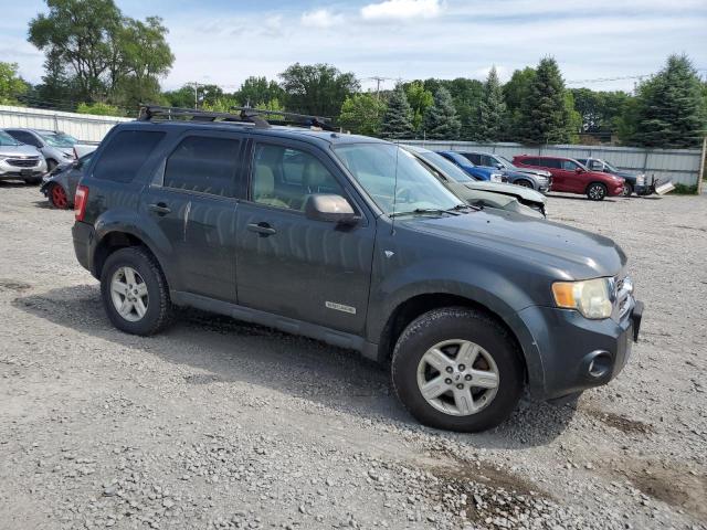 1FMCU03138KD64284 - 2008 FORD ESCAPE XLT TEAL photo 4