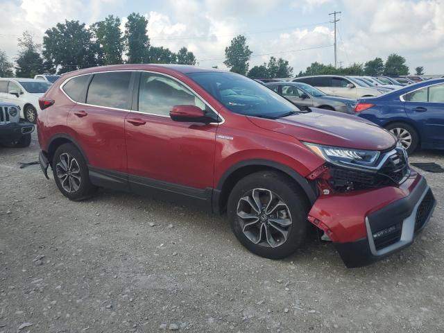 5J6RT6H85NL030459 - 2022 HONDA CR-V EXL 红色 照片 4
