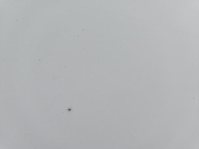 1UYVS2539N3457623 - 2022 UTILITY VS2DX WHITE photo 8