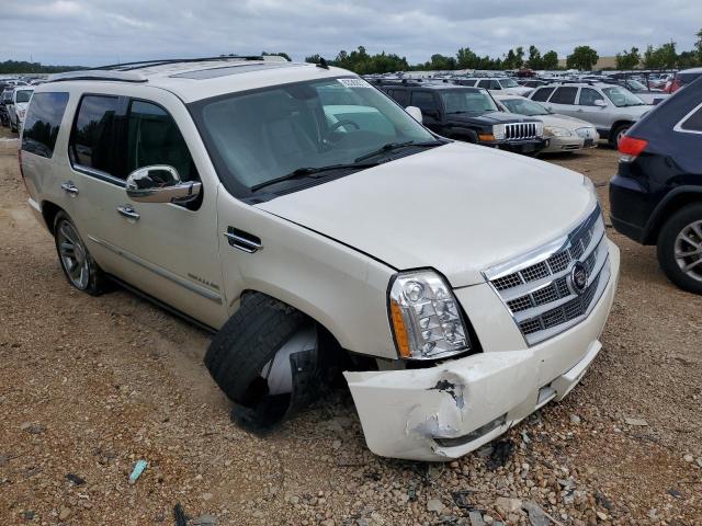 1GYUKDEFXAR195158 - 2010 CADILLAC ESCALADE PLATINUM WHITE photo 4