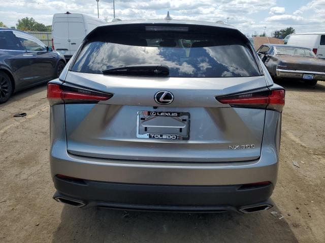 JTJDARBZ9M2195957 - 2021 LEXUS NX 300 BASE Gümüş foto 6