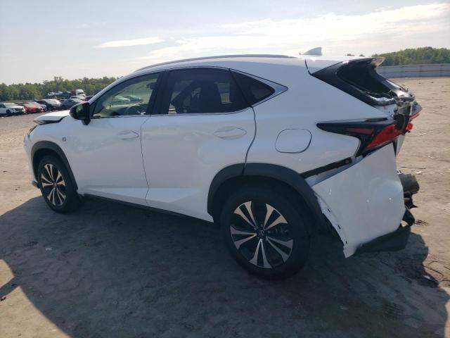 JTJSARDZ5M2262641 - 2021 LEXUS NX 300 BASE Ağ foto 2