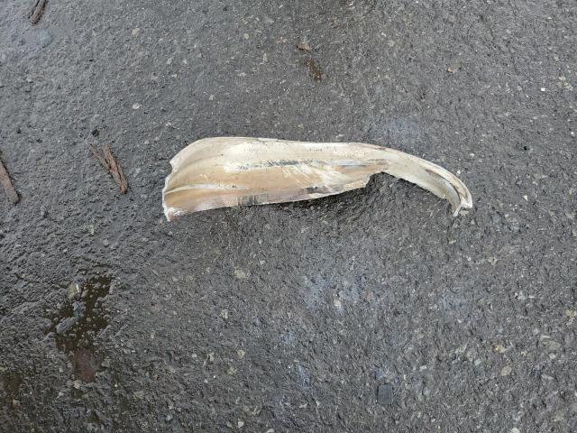 2FMGK5C8XDBD28632 - 2013 FORD FLEX SEL 灰色 照片 13