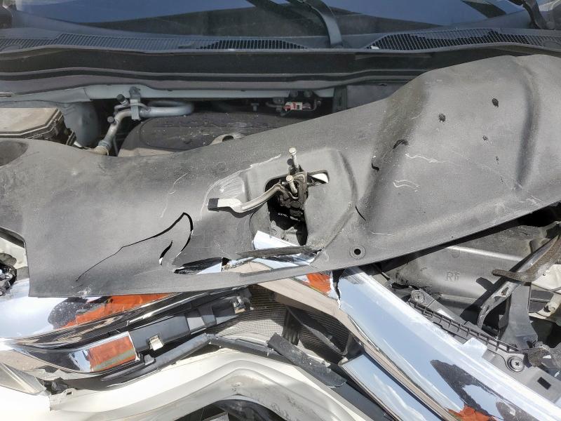 5FNYF6H51KB080059 - 2019 HONDA PILOT EXL 白色 照片 12