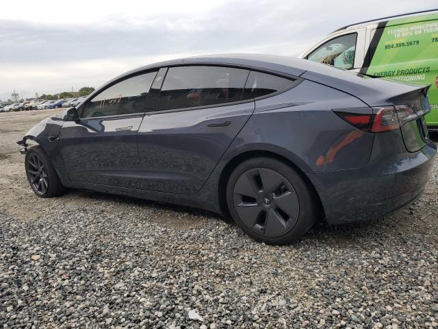 5YJ3E1EA8PF383350 - 2023 TESLA MODEL 3 BLUE photo 2