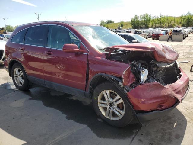 JHLRE4H75AC004856 - 2010 HONDA CR-V EXL BURGUNDY photo 4