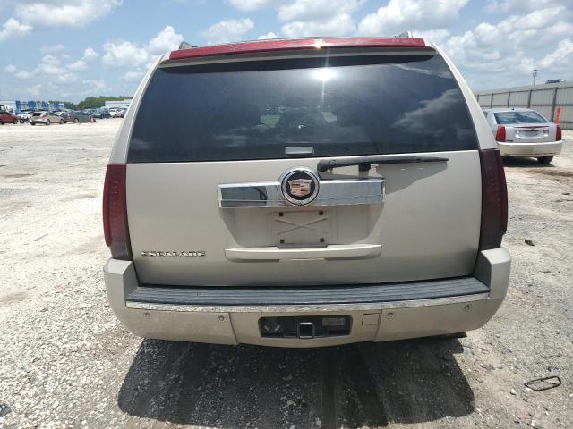 1GYEC63867R304001 - 2007 CADILLAC ESCALADE LUXURY GOLD photo 6