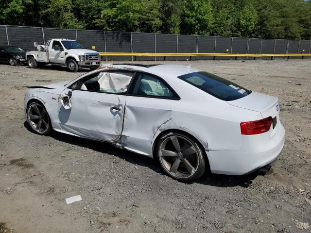 WAUCGAFR1EA026464 - 2014 AUDI S5 PREMIUM PLUS 白色 照片 2